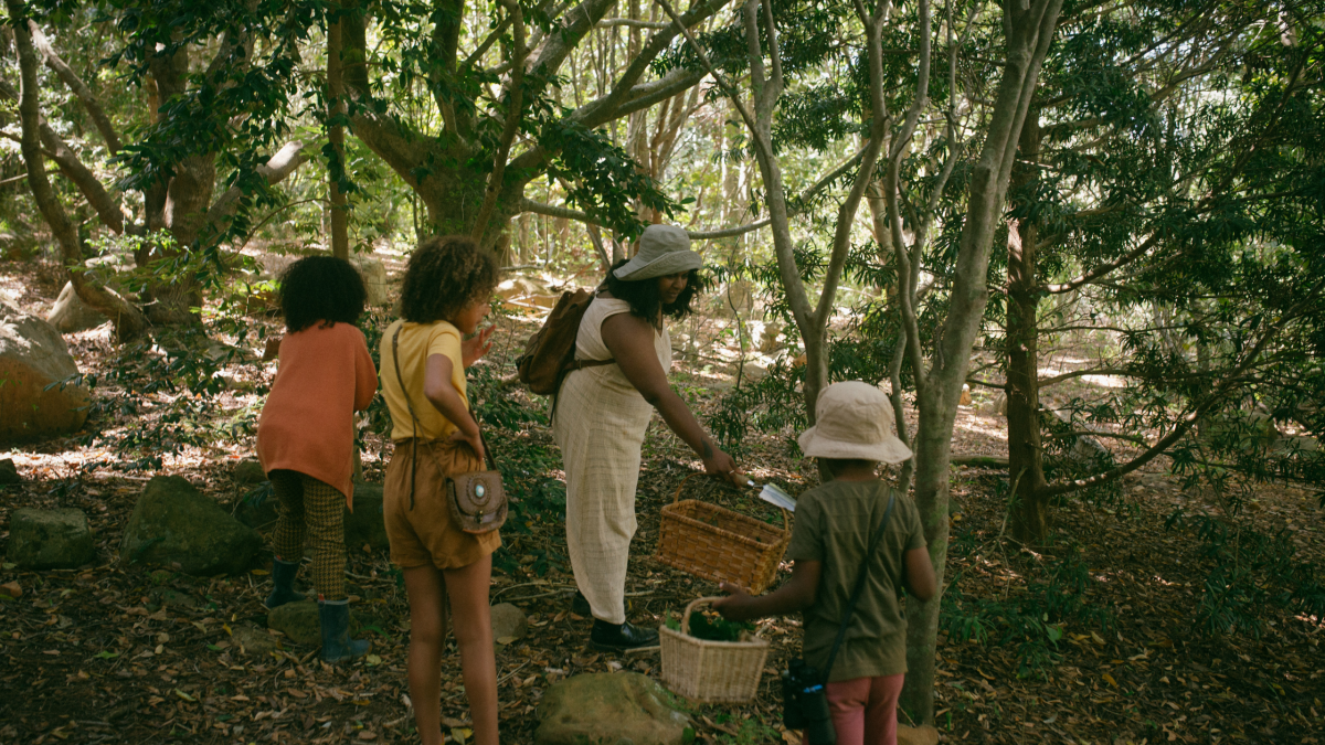 den building is a great example of of forest school activities 