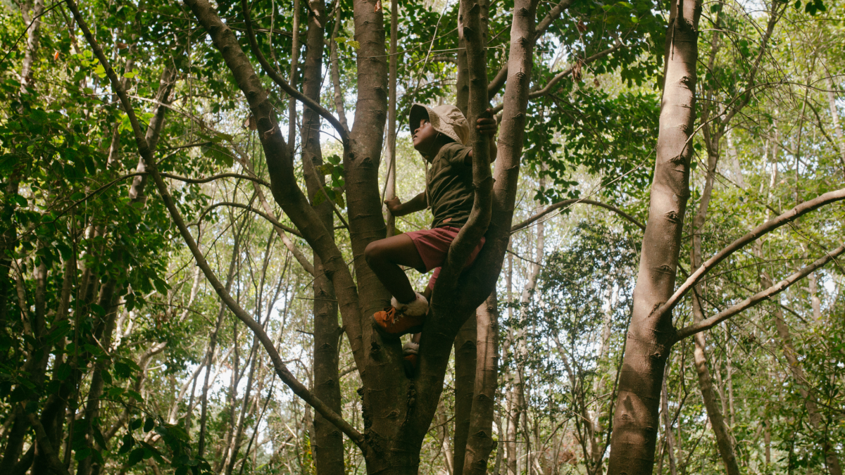 Chances of injuries in forest school