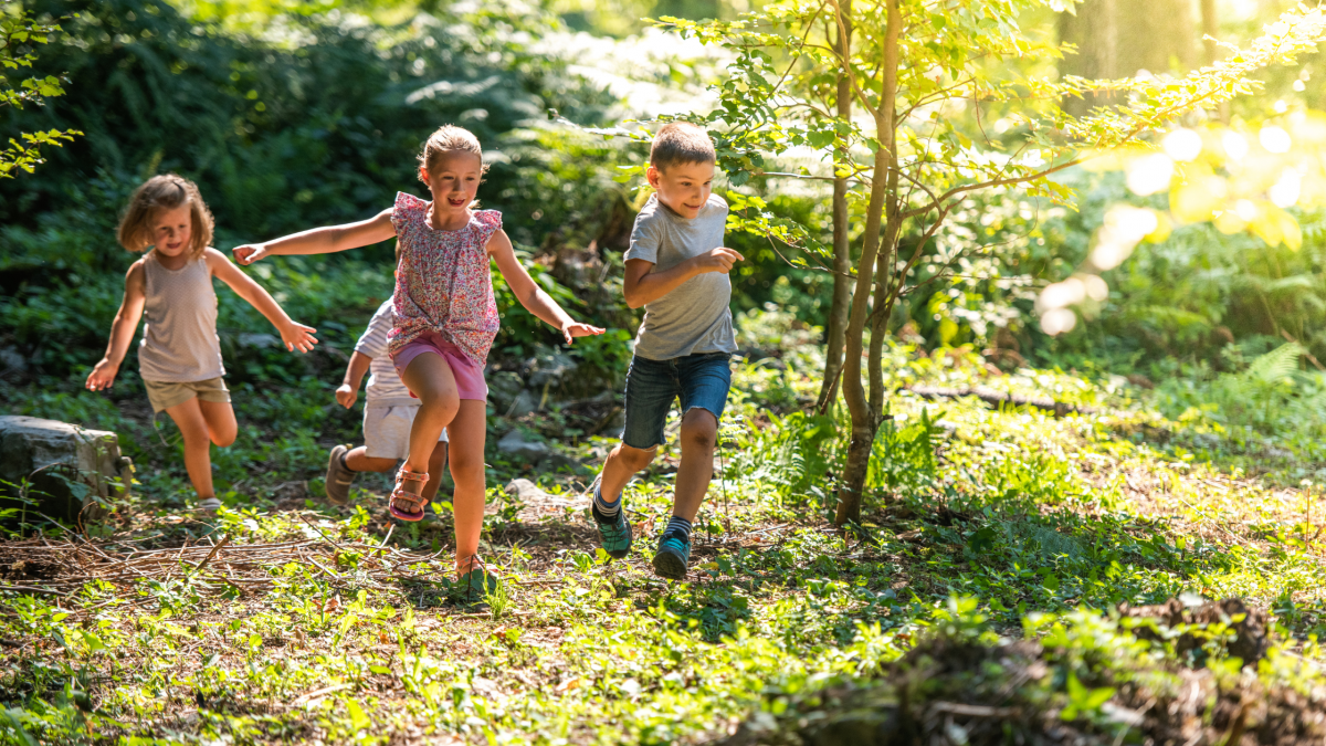 Lack of Regulation in forest school