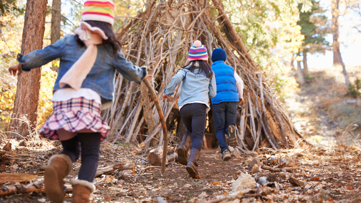 Den building in the woods