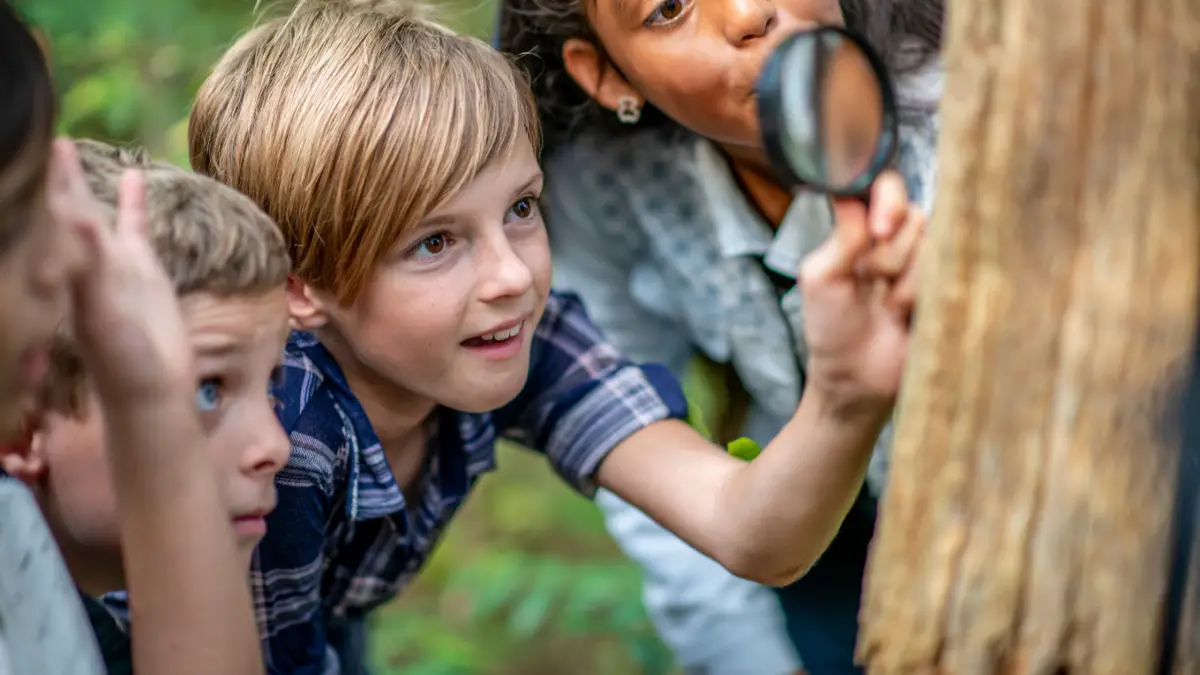 a forest school woodland program offers fantastic benefits to little ones