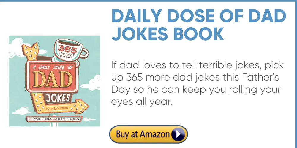 dad joke book puns funny father's day gift