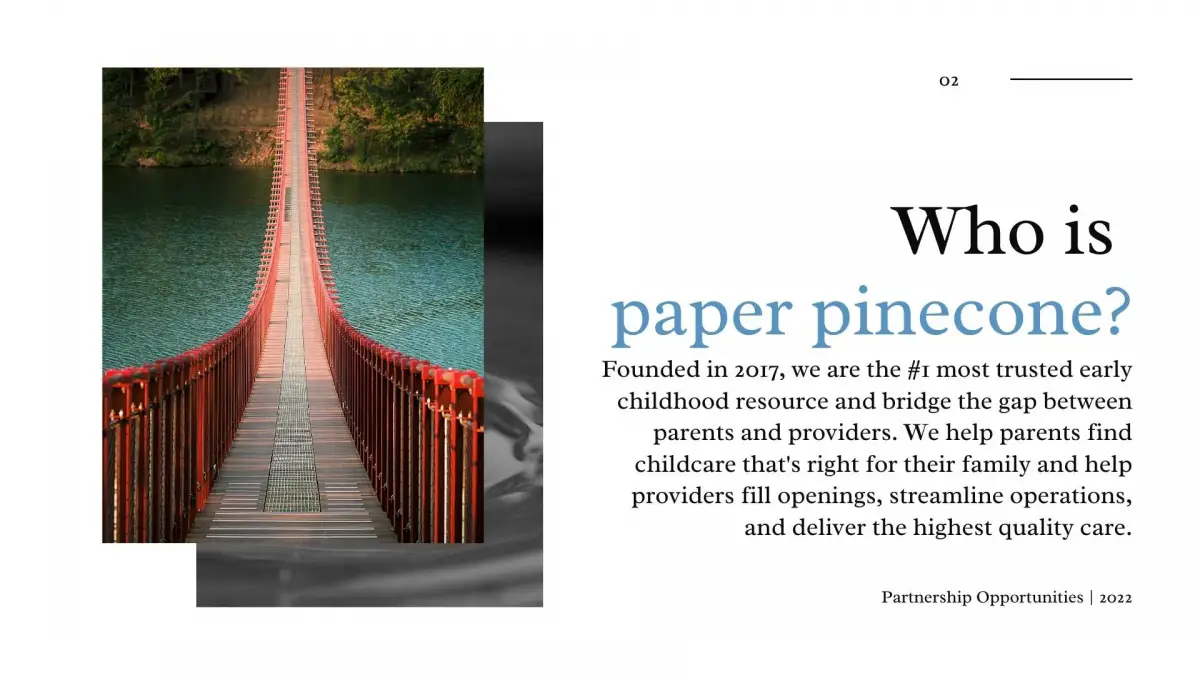 Advertise with Us - Paper Pinecone - 2