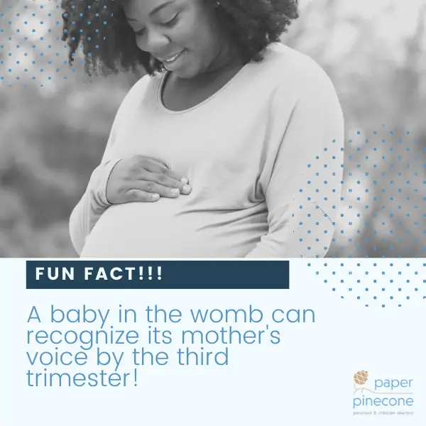pregnancy fun fact: A baby in the womb can recognize its mother's voice by the third trimester!