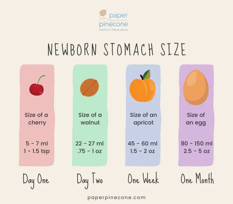 baby stomach size - increase production of breast milk 