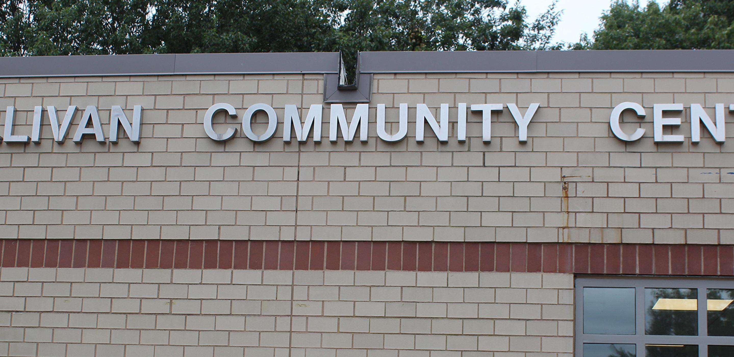 Gallivan Community Center Paper Pinecone