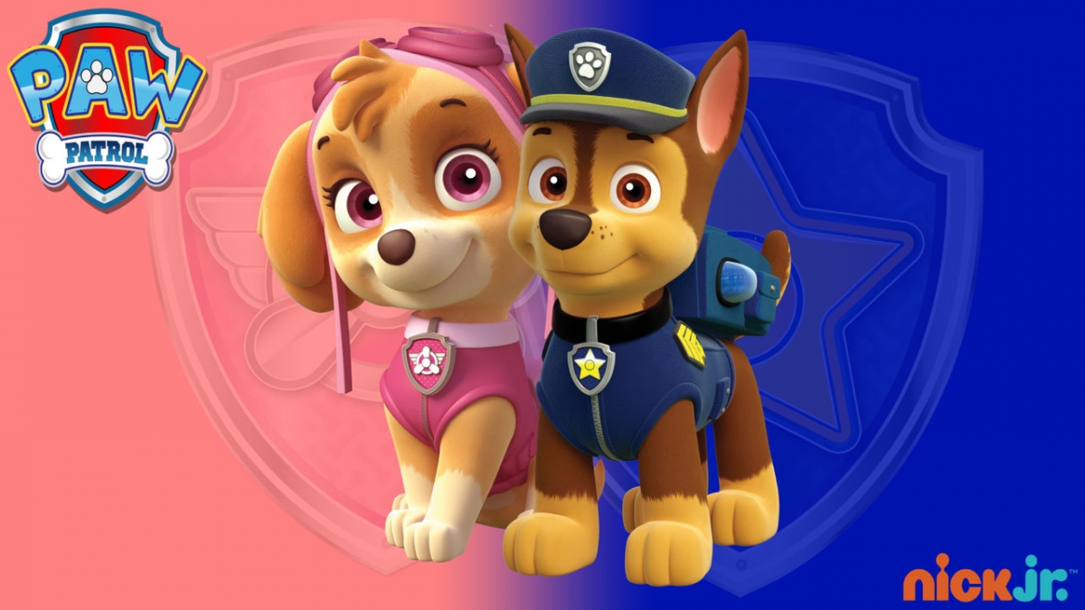 Vtech Interactive Book Of The Canine Patrol 10 Anniversary