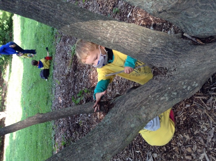 Pine Village Spanish Immersion Preschool Paper Pinecone